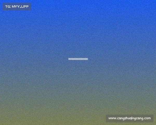 赛事链公司—赛事公司都包括什么